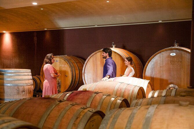 Bardolino Wine Experience - Stop-by-Stop Breakdown: What Each Moment Gives You