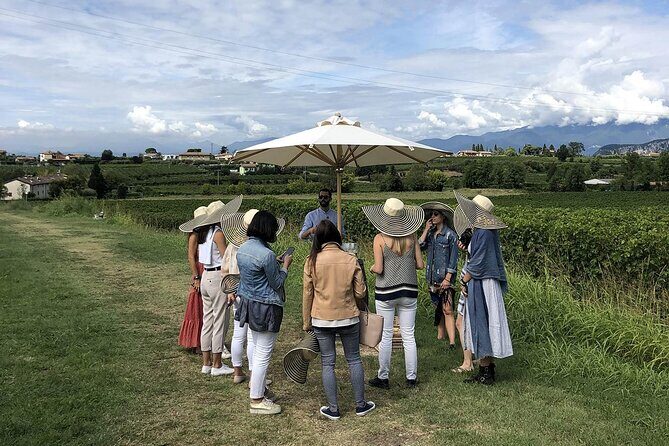 Bardolino Wine Experience - Price and Value: $54.31 for a Full Wine-and-Food Package