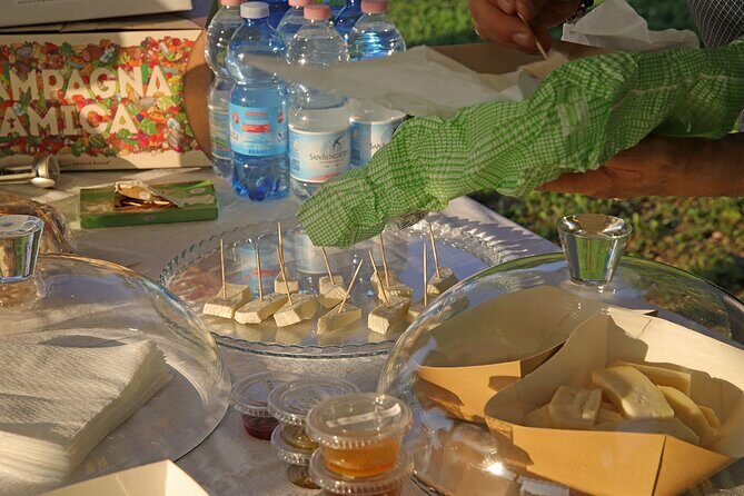 Beekeeping Farm Tour and Tasting Experience in Lazise - A Beekeeping Farm Tour From Lazise’s Countryside