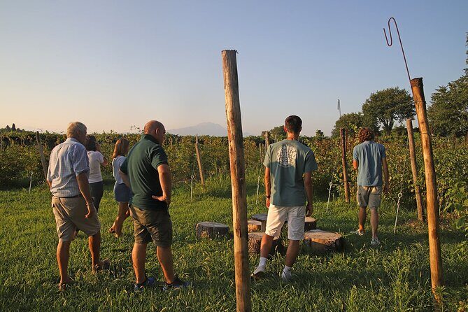 Beekeeping Farm Tour and Tasting Experience in Lazise - The Route Through Colà, Lazise, and Villa Dei Cedri