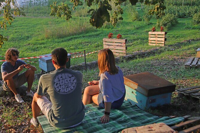 Beekeeping Farm Tour and Tasting Experience in Lazise - Your Tasting Menu: Three Honeys, Fruit Jam, Cheese, and Local Wine