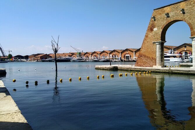 Biennale of Venice 2026, visit with private guide - What You’ll See: The Contemporary Art Exhibition at the Giardini