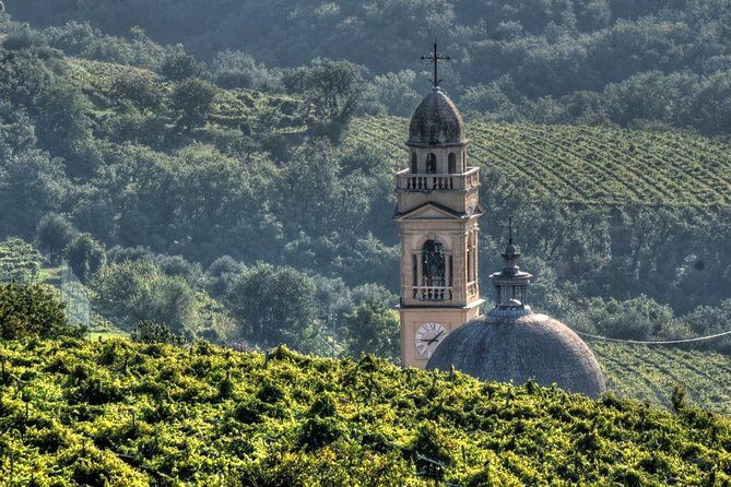 Bike Station Valpolicella: E-bike tour & Amarone Tasting - Valpolicella feels different when you pedal through it