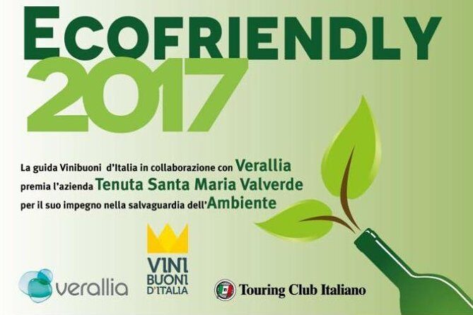 Bike Station Valpolicella: E-bike tour & Amarone Tasting - The food pairing: practical, local, and not just filler