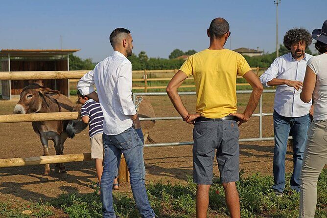 Biodynamic Farm and Natural Wines Tasting in Lazise - Key moments that make this tour work