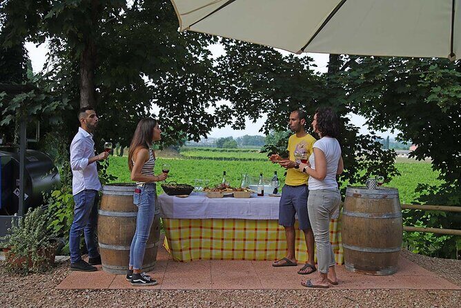Biodynamic Farm and Natural Wines Tasting in Lazise - How the visit flows: from La Pesenata to Cola and back to Lazise