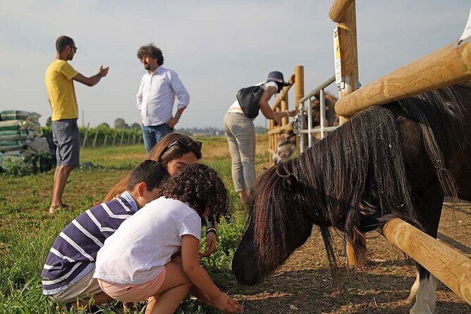 Biodynamic Farm and Natural Wines Tasting in Lazise - Timing in Lazise: a 2-hour experience that fits real vacation days