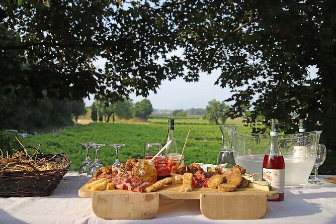 Biodynamic Farm and Natural Wines Tasting in Lazise - Price and value: $50.47 for farm context plus real tasting