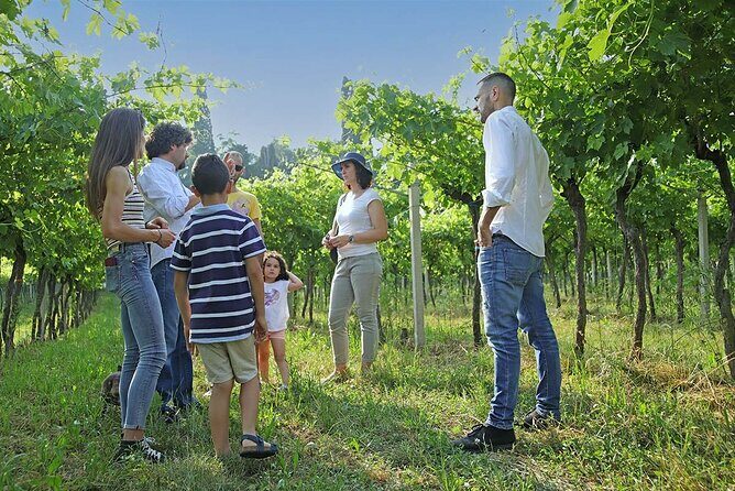 Biodynamic Farm and Natural Wines Tasting in Lazise - Who should book this natural wine and biodynamic farm tour