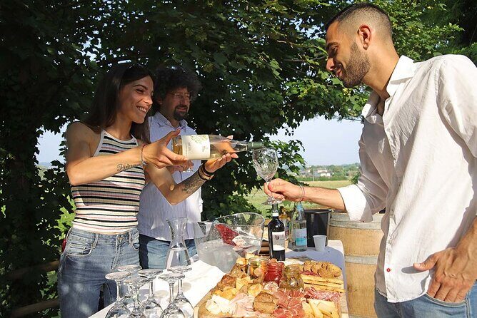 Biodynamic Farm and Natural Wines Tasting in Lazise - The terrace tasting: when the farm view becomes the wine lesson