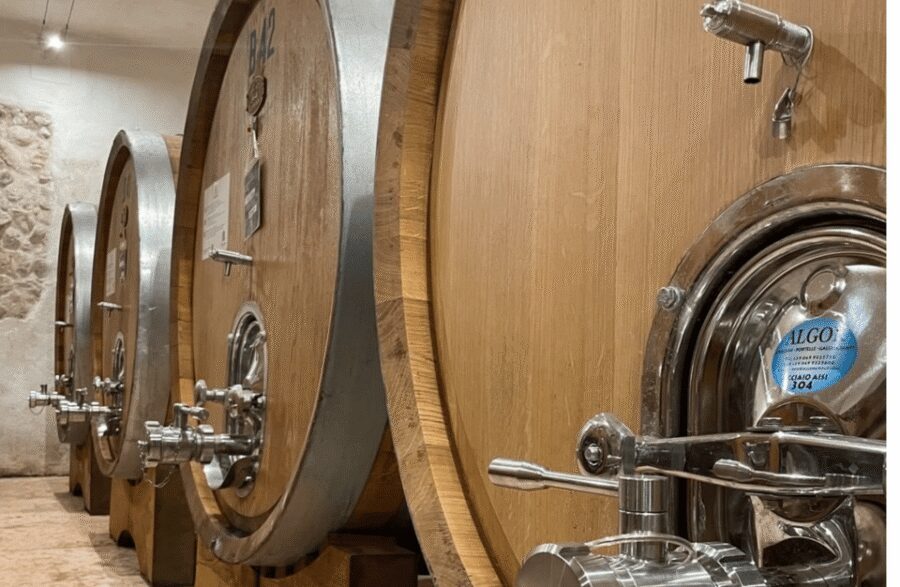 Boutique Winery Tour & Tasting in Valpolicella - The tasting in San Pietro in Cariano: four wines that show Valpolicella’s range