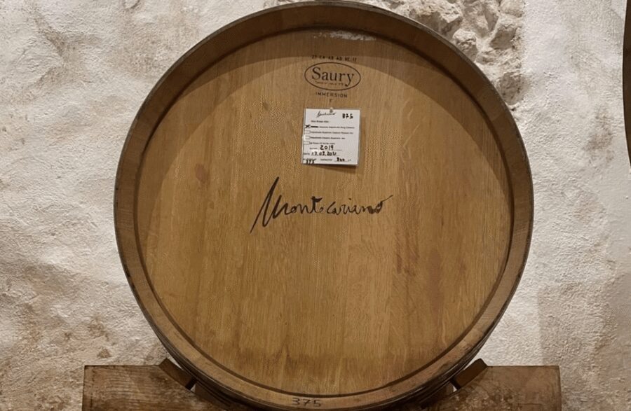 Boutique Winery Tour & Tasting in Valpolicella - Summer add-on: the Renato Casaro movie poster museum (until July)
