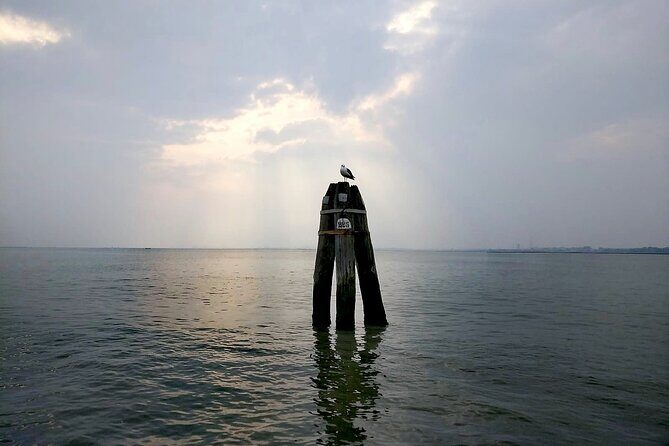 Burano Kayak Eco-Tour Through the Venetian Lagoon - Lagoon Wildlife and Salt Marshes: Why Low-Impact Matters