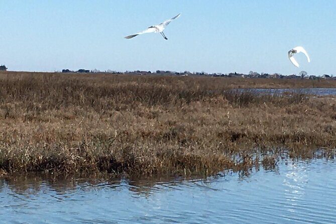 Burano Kayak Eco-Tour Through the Venetian Lagoon - Getting There From Fondamente Nove to Sant’Erasmo