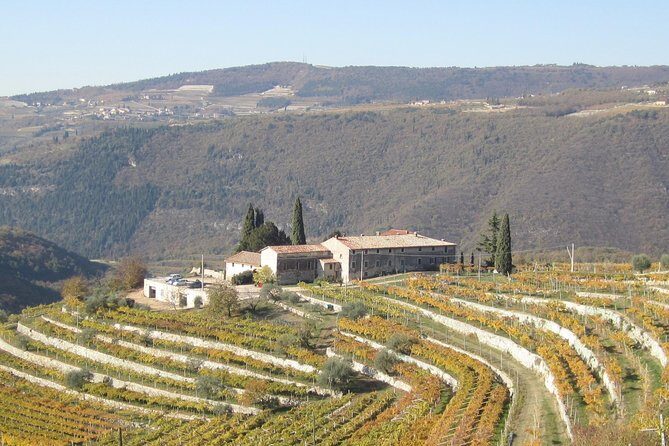Champagne Experience at a Boutique Winery - The 17th-century cellar stop: where the story turns real