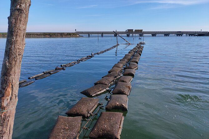 Chioggia : Aquaculture Secrets Tours of the Lagoon - Key things to know before you go