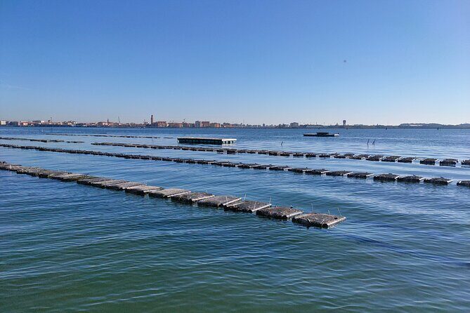 Chioggia : Aquaculture Secrets Tours of the Lagoon - Getting there and feeling organized in 10 minutes