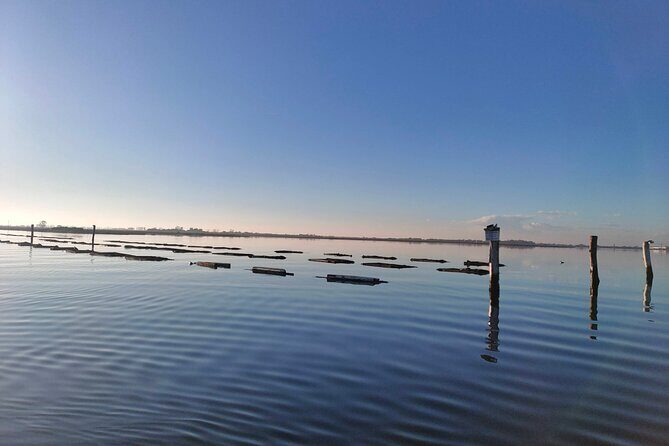 Chioggia : Aquaculture Secrets Tours of the Lagoon - The boat ride: restored local craft, photo stops, and safety gear