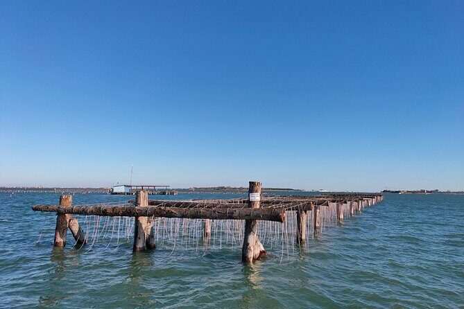 Chioggia : Aquaculture Secrets Tours of the Lagoon - Language and guides: English available with licensed explanations