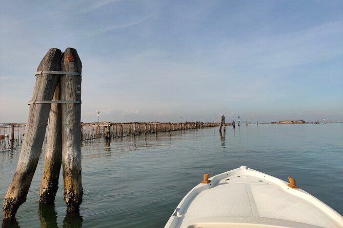 Chioggia : Tour to Pellestrina with Typical Lagoon Boat - Ca’ Roman Natural Reserve: Birds, Migration Timing, and Quiet Science