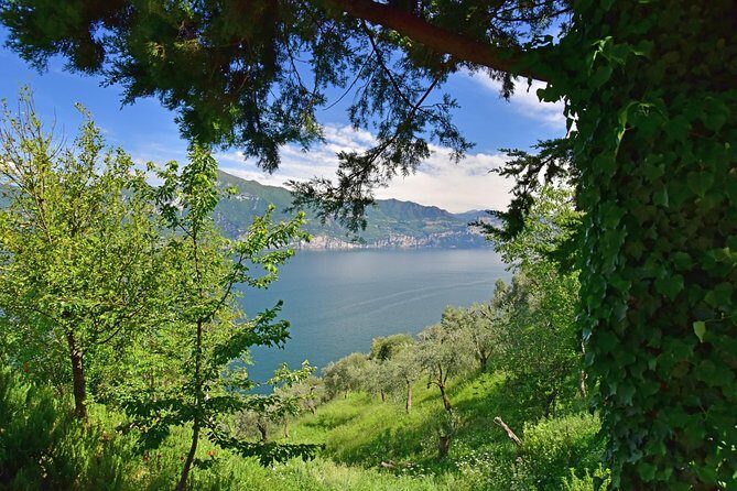 City Escape: Lake Garda Private Day Trip from Verona - Padenghe and Pratello: a medieval village winery with tastings