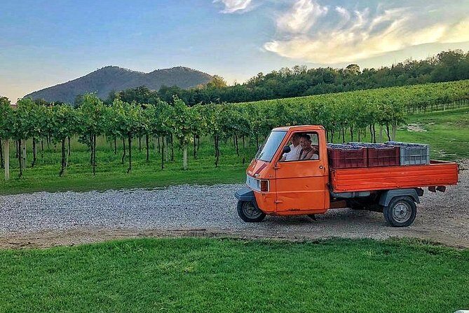 DA Abano and Montegrotto: Oil and Wine Tour of the Euganean Hills - Cantina Colli Euganei: wine tasting with a view and a proper cellar visit