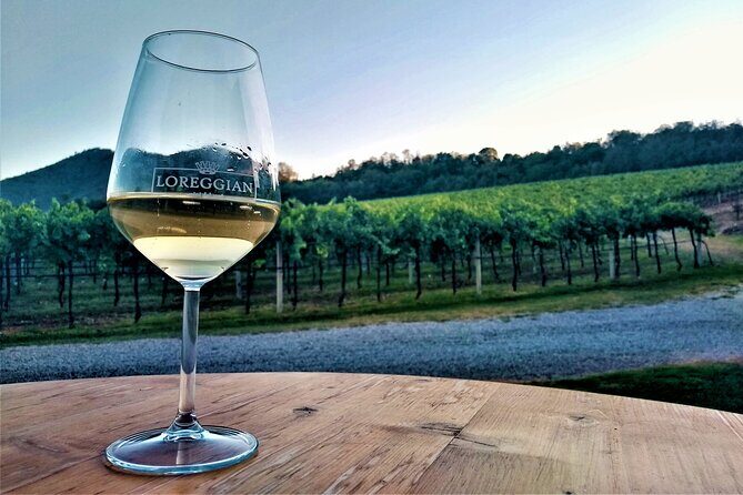 DA Padova: Wine tour in the Euganean Hills - Key takeaways before you go