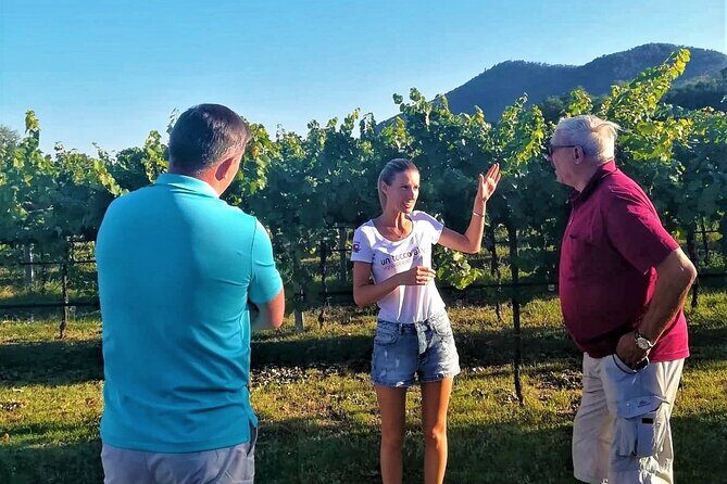 DA Padova: Wine tour in the Euganean Hills - From Padua to Abano Montegrotto: starting where the area is famous