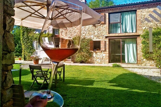 DA Padova: Wine tour in the Euganean Hills - The drive between stops: how to set expectations for hill views