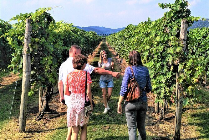 DA Padova: Wine tour in the Euganean Hills - Guides, language, and group energy (the part that makes or breaks the day)