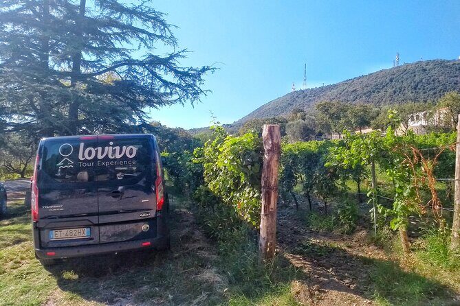 DA Padova: Wine tour in the Euganean Hills - Cantina Colli Euganei: vineyard walk, barrel room views, then tasting