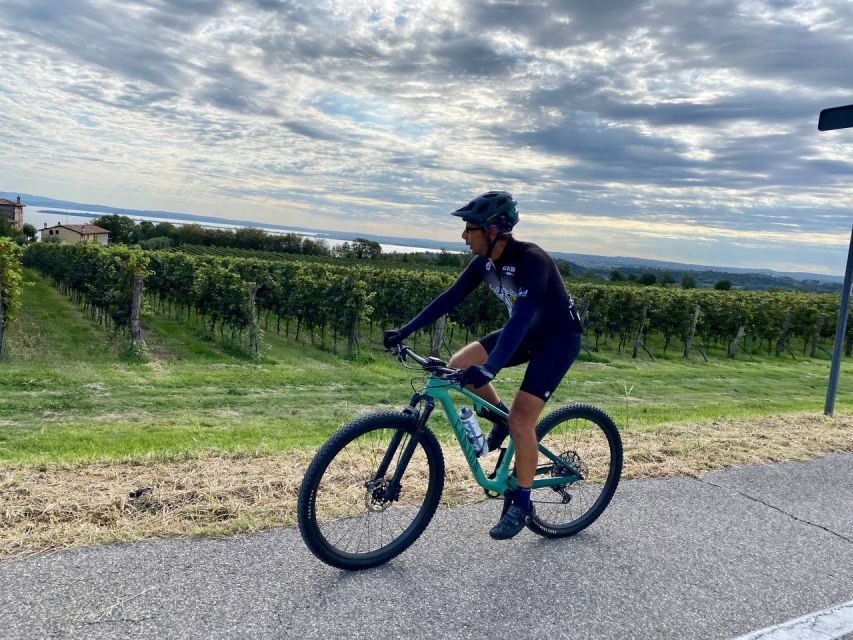 Desenzano: e-Bike Tour with Wine Tasting - Price and value: what $99 buys you in real terms