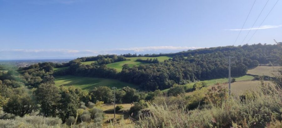 Desenzano: e-Bike Tour with Wine Tasting - Who this tour is best for (and who should skip it)