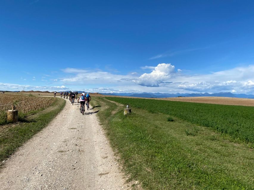 Desenzano: e-Bike Tour with Wine Tasting - Should you book the Desenzano e-bike and Lugana tasting?