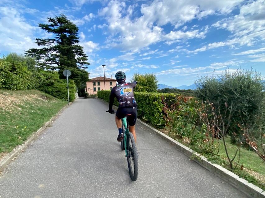 Desenzano: e-Bike Tour with Wine Tasting - The inland e-bike ride: 22–25 km of vineyards, olive trees, and easy effort