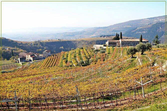Discover Valpolicella Vineyards and Wine Tasting Experience - The tasting: Valpolicella, Ripasso, Amarone—plus how to evaluate each one