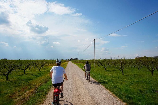 E-bike adventure among medieval castles and old villages - Key highlights to know before you go