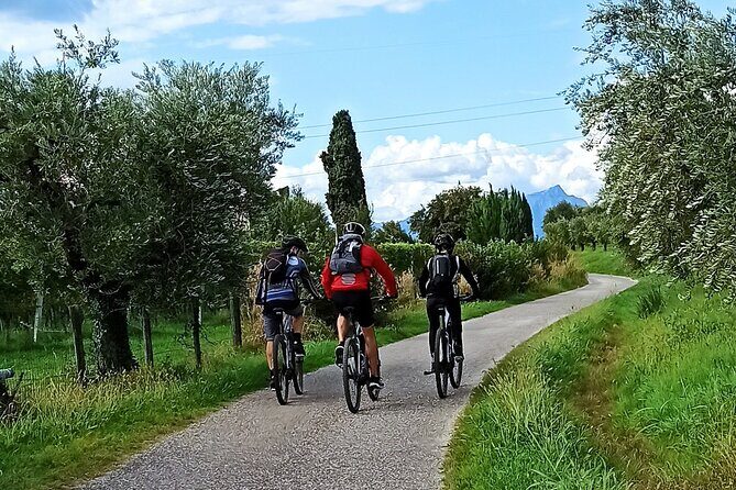 E-Bike Tour and Wine Tasting from Bardolino - Key Things You’ll Notice on This Ride