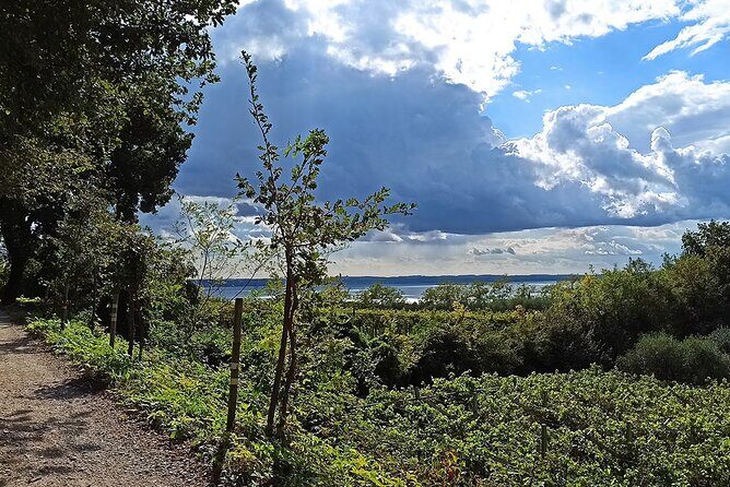 E-Bike Tour and Wine Tasting from Bardolino - Why This E-Bike Wine Ride Works So Well from Bardolino