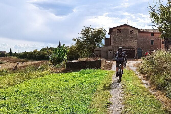 E-Bike Tour and Wine Tasting from Bardolino - The Winery Stop: One Tasting Session Done Right