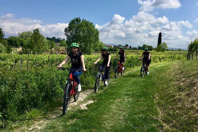 E-Bike Tour and wine tasting in Lazise Countryside - Key highlights to know before you go