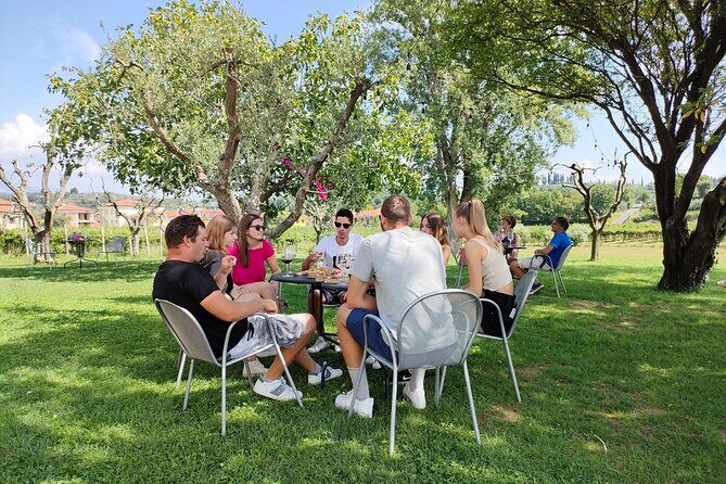 E-Bike Tour and wine tasting in Lazise Countryside - A 4-hour Lake Garda ride plus three young wines at Pergola d’oro