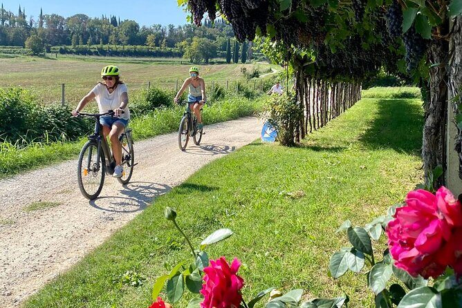 E-Bike Tour and wine tasting in Lazise Countryside - Cycling between vineyards and olive groves without the fitness tax