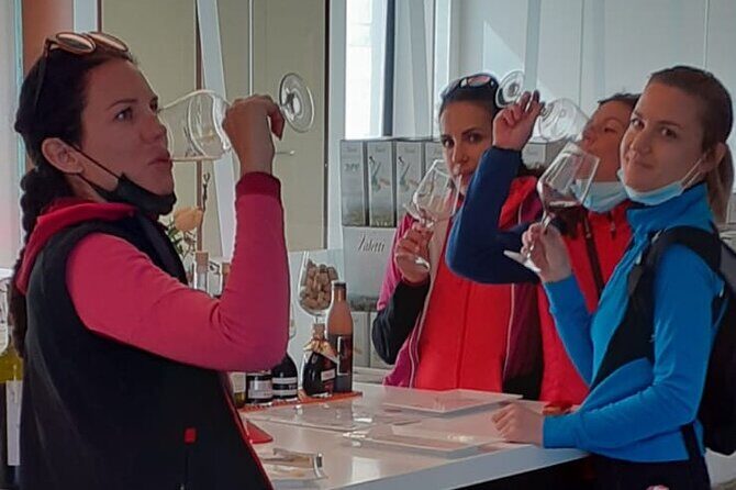 E-Bike tour with stop in the cellar in the Bardolino area - Meeting in Bardolino and Getting Set for an Easy Wineland Ride