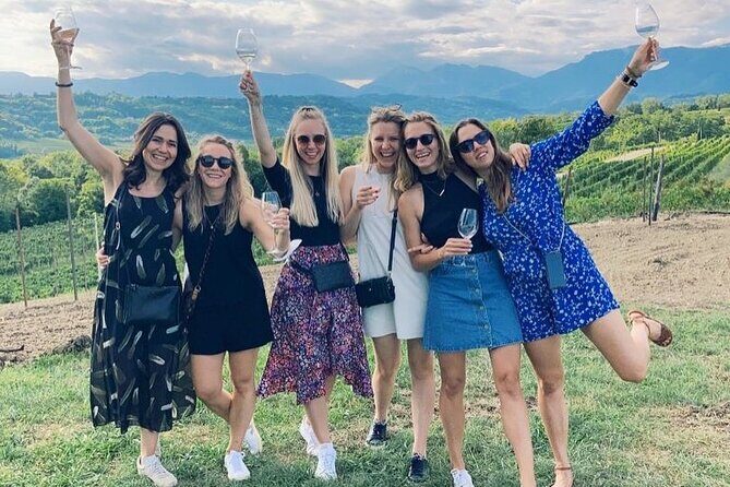 Exclusive Tour of the Vineyards with Visit to the Cellar! - The vineyard walk: what you’ll see and why it helps your tasting