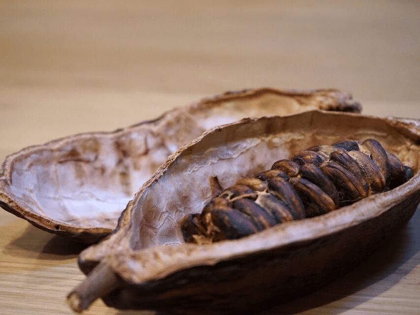 Fine Chocolate Tasting in Turin - Gianduja in Piedmont: the opening bite that sets the tone