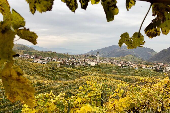 Food and Wine Tour on the Prosecco Hills from Venice - Conegliano: medieval ruins and the first real taste of the hills