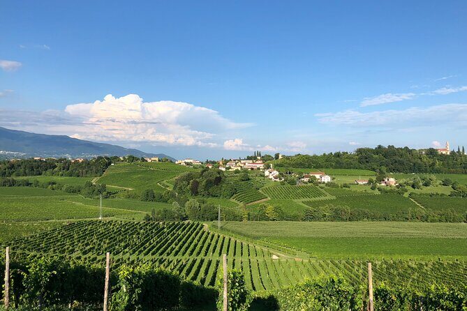 Food and Wine Tour on the Prosecco Hills from Venice - Valdobbiadene: climbing into the DOCG heart
