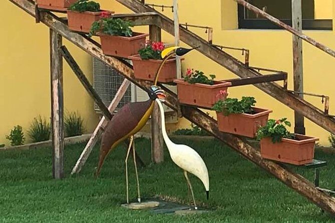 FriendInVenice Murano Burano Torcello Private Tour By Luxury Boat - Price per group up to 6: when this feels worth it