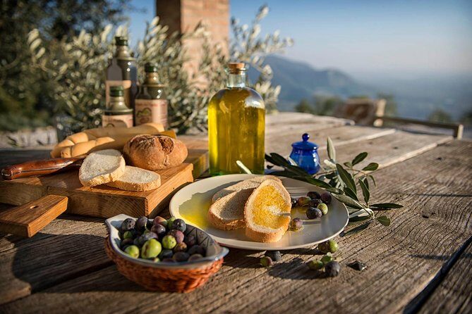 From Padua: Olive Oil & Wine in the Euganean Hills - Quick hits before you go